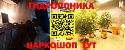 стафф Краснодар