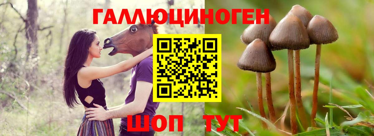Псилоцибиновые грибы Magic Shrooms  Вход с VPN  Ессентуки 